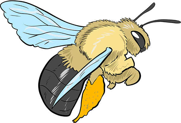 Digger bee