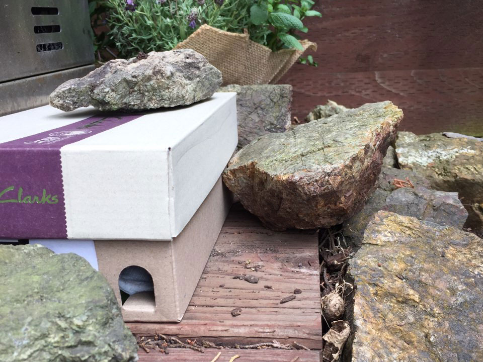 Bumble bee shoebox entrance