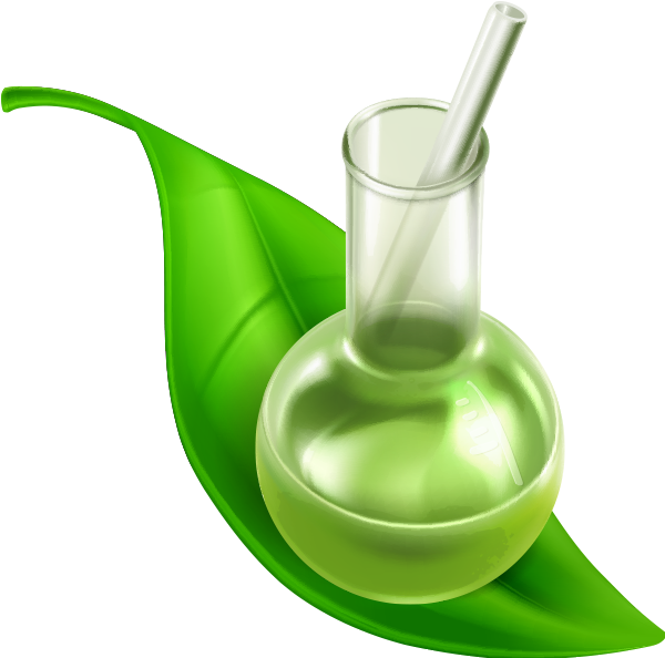 Plant Leaf Potion